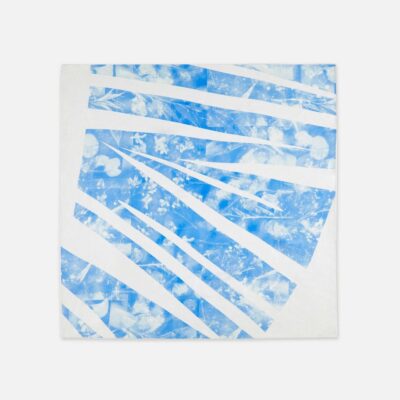 Lafayette 148 New York Wraps & Scarves | Eco Flora Print Silk Scarf Sky Blue Multi